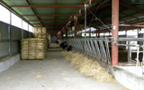 管理ノウハウや最新技術情報（飼料・血統交配）の共有